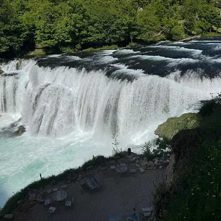 فيلة Kosta *